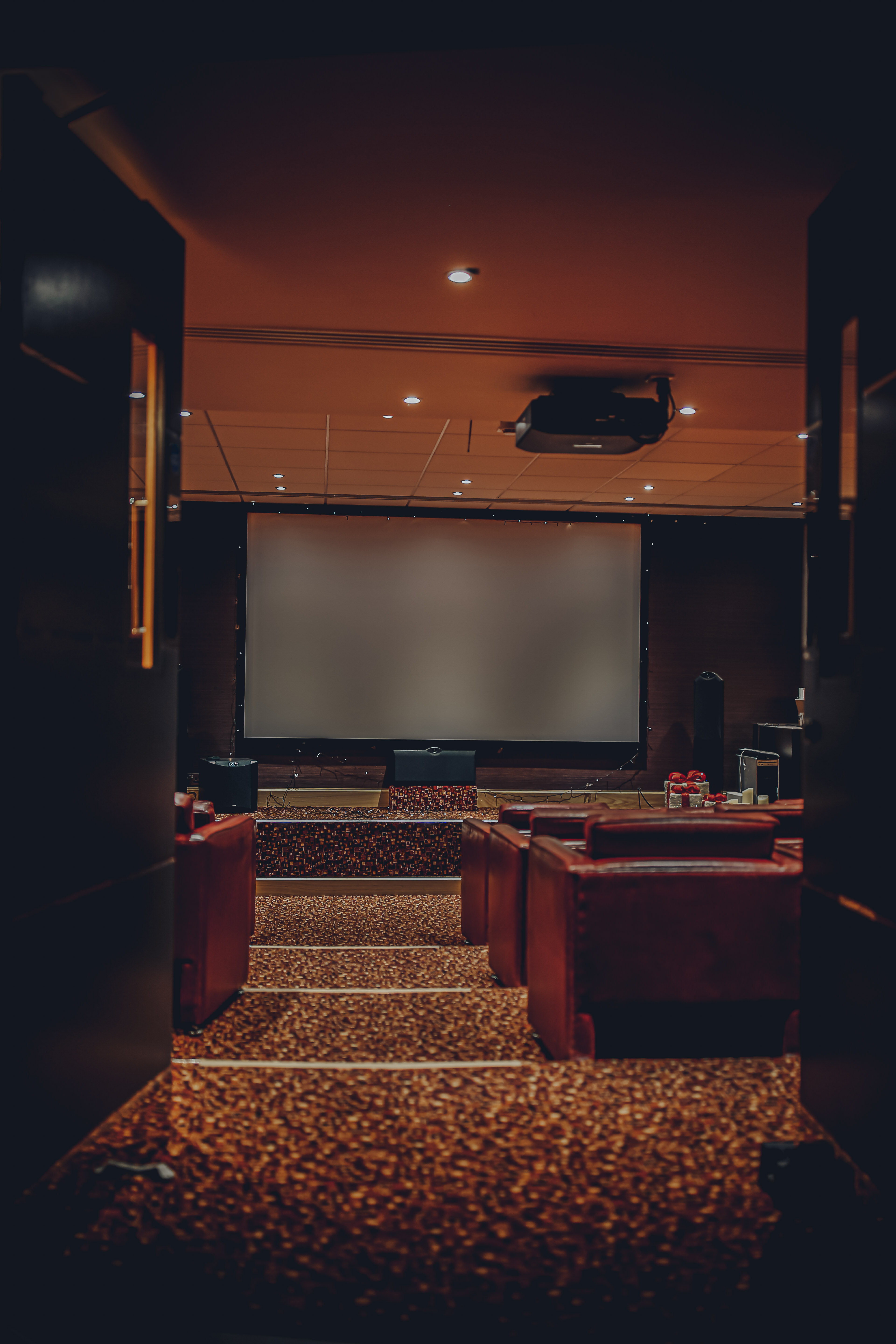 Private Cinema Parties